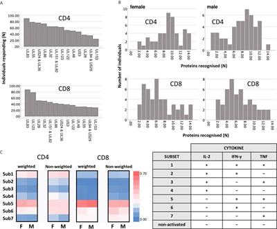 In-Depth Profiling of T-Cell Responsiveness to Commonly Recognized CMV Antigens in Older People Reveals Important Sex Differences